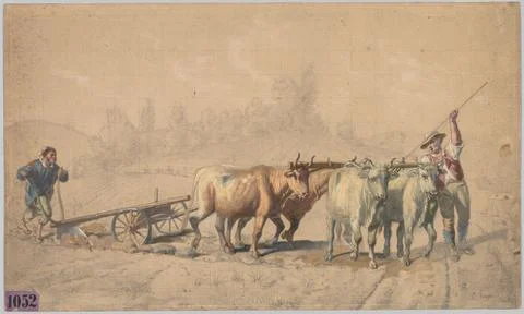Four Oxen Pulling a Plough, 1853. Constant Troyon (French, 1810-1865). Blac.. Stock Illustration