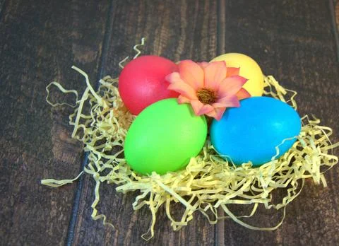 Four painted Easter eggs in a nest of straw with a flower in the center, lie Stock Photos