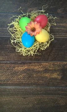 Four painted Easter eggs in a nest of straw with a flower in the center, lie Stock Photos
