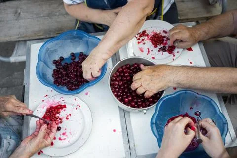 Four pairs of hands at the table taking out bones from cherry in to blue bowls Stock Photos
