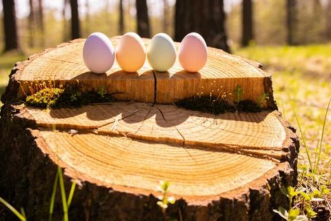 Four pastel Easter eggs resting on a rustic tree stump in a sunlit forest Stock Photos
