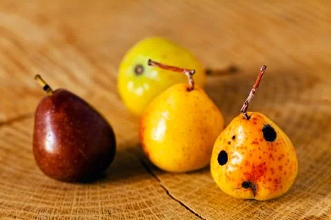 Four pears on the log Stock Photos