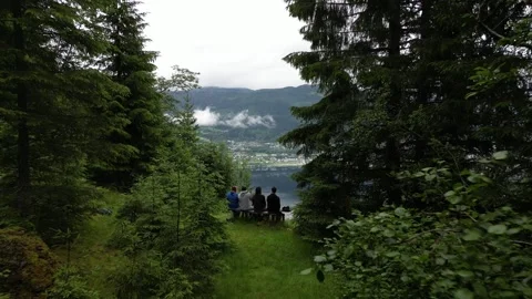 Four people sitting on bench in the forest  Stock-Footage 252260598