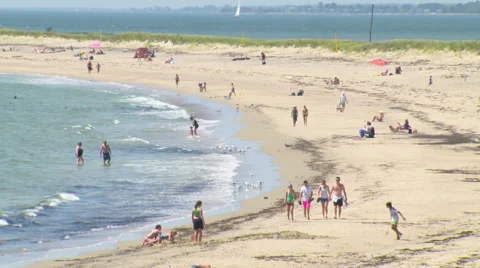 Four people walking on a beach 動画素材 41069386