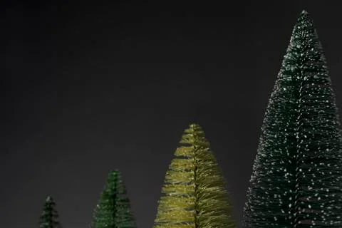 Four pine trees. Stock Photos