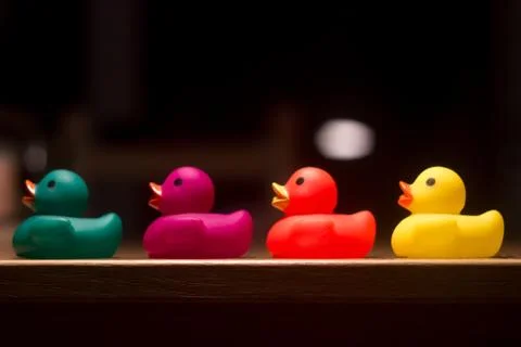 Four plastic ducks in single file. The ducks' colors are green, violet, red a Stock Photos