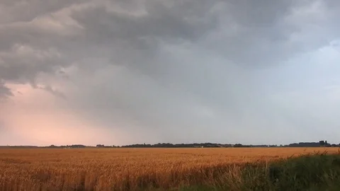 Four powerful lightning strikes from the same storm captured at day time Stock Footage 115270530