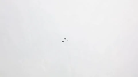 Four propeller planes fly in perfect formation through soft hazy sky leaving sub Stock Footage 311662247