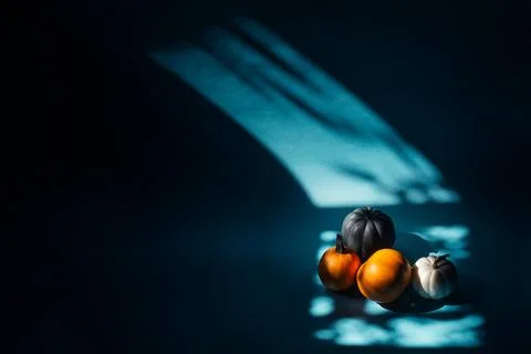 Four pumpkins in a beam of light Stock Photos