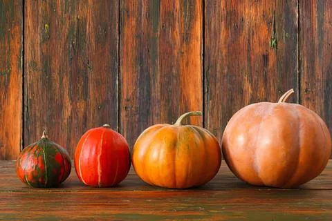 Four pumpkins of different sizes and colors on wooden surface Stock Photos