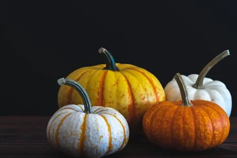 Four pumpkins in front of a black background. Stock Photos