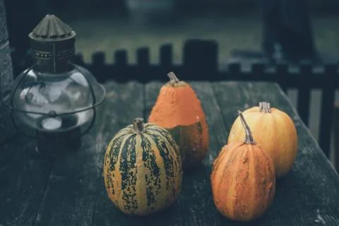 Four pumpkins on the table Stock Photos