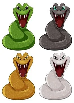 Four Python Snakes Stock Illustration