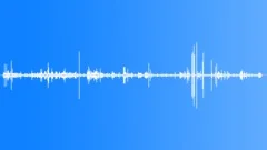 Four Rats Eating Technical Sound Effect