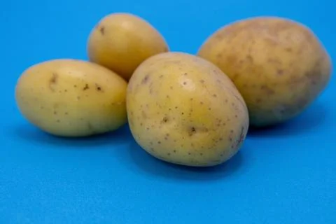 Four raw potatoes on a blue background, ready for cooking or consumption. Stock Photos