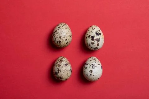 Four raw quail eggs on red paper, top view and copy space food Stock Photos