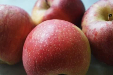 Four red apples Stock Photos
