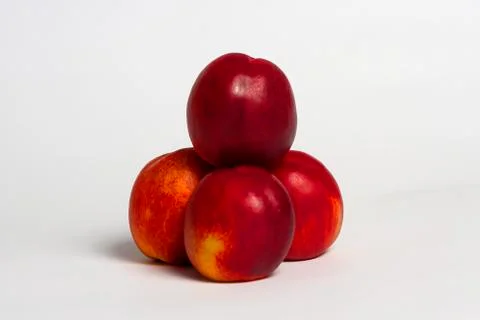 Four red nectarines 스톡 사진