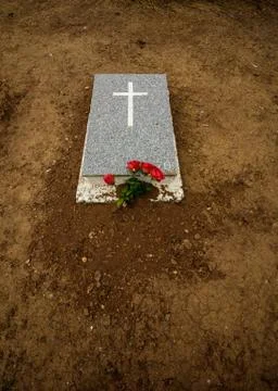Four red plastic Roses placed on unnamed grave number 70 Stock Photos