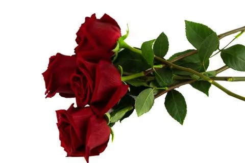 Four red roses Foto stock