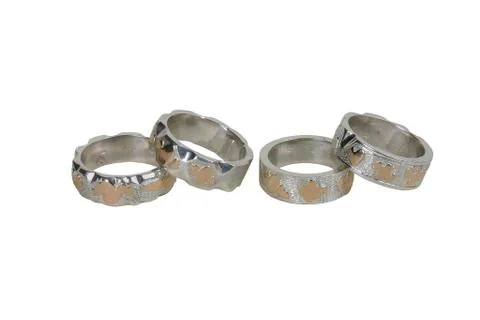 Four rings Stock Photos