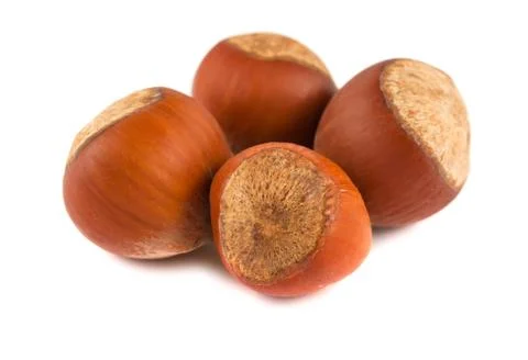 Four ripe brown hazelnuts Stock Photos