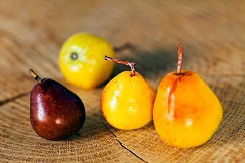 Four ripe pears on the log Stock Photos