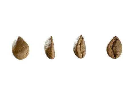 Four roasted coffee beans arranged neatly in a row against a plain white ba.. Stock Photos