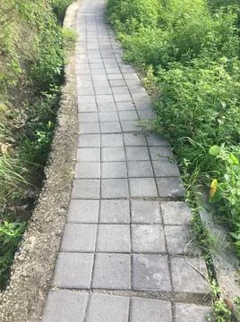 Four rows of paving block with concrete border Stock Photos
