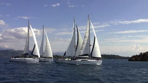 Four sailing yachts run synchronously Stock Footage 77809279