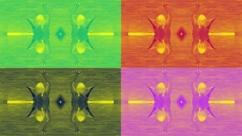 Four Screens Dance With Colored Effects For Clip Or For Music Clip Stock Footage 82480145