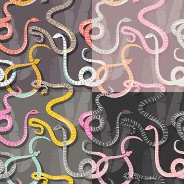 Four seamless patterns with colorful intertwined striped rain forest snakes Stock Illustration