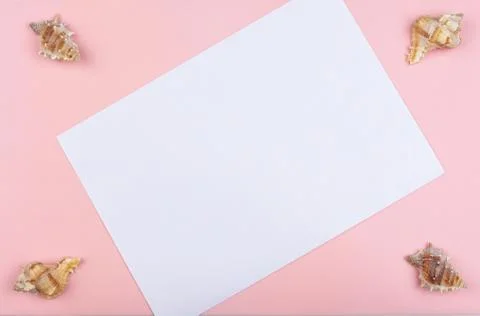 Four seashells in the corners on a pink background Stock Photos