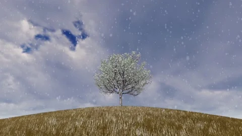 Four season changing concept 스톡 동영상 201008788