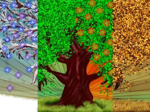 Four season tree Stock Illustration