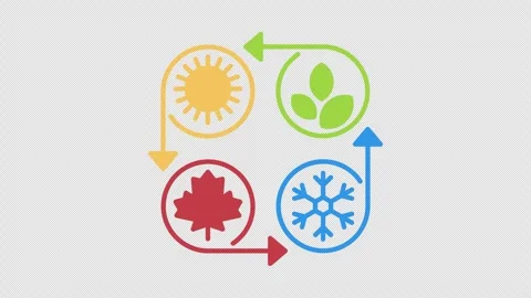 Four seasons change rotation. Alpha channel Stock Footage 342422532
