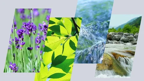 Four seasons collage. Stock-Footage 87735272