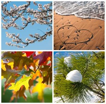 Four seasons collage Foto stock