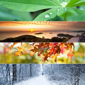 Four seasons collage Stock Photos