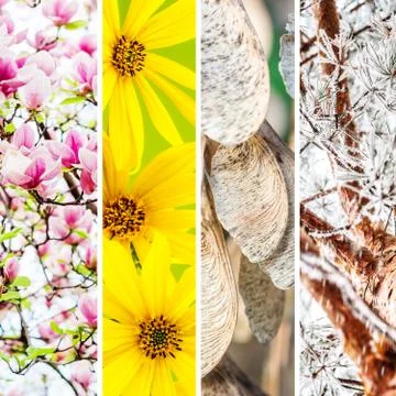 Four seasons collage Stock Photos