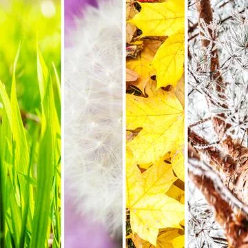 Four seasons collage Foto stock