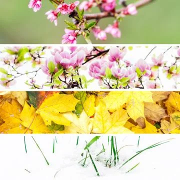 Four seasons collage Stock Photos