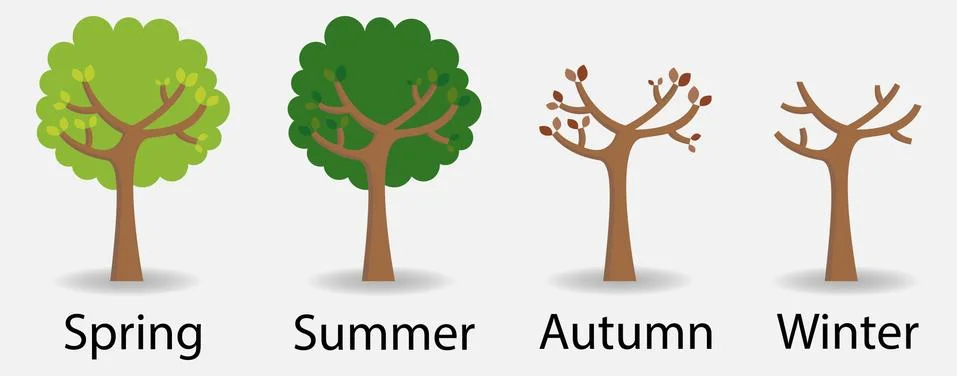 Four seasons Stock Illustration
