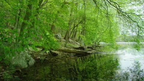Four Seasons Lapse-Time Transition Loop on New England Lake. Vidéo 231098608