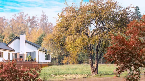 Four Seasons Loop Stock Footage 138176216