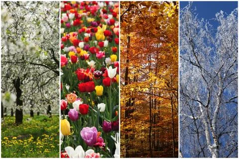 Four seasons Stock Photos