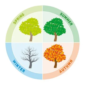The four seasons represented by changing tree foliages Stock Illustration
