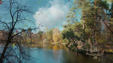 Four Seasons Short Version 스톡 동영상 79784357