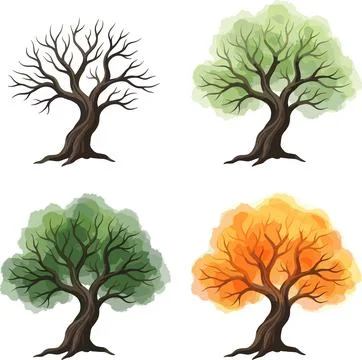 Four Seasons Tree Illustration - Winter, Spring, Summer, Autumn. Stock Illustration