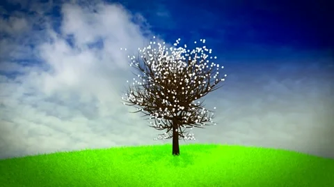 Four seasons tree - loop Stock Footage 11232261